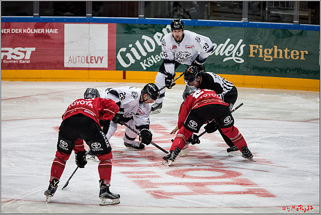 Koelner Haie - Nuernberger Ice Tiger, 04.12.2016